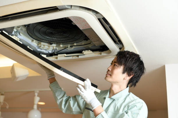 Best Local Air Duct Cleaning Services  in Fmington, AR